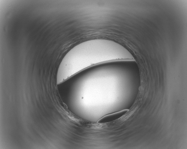 X0000061720096200512021054