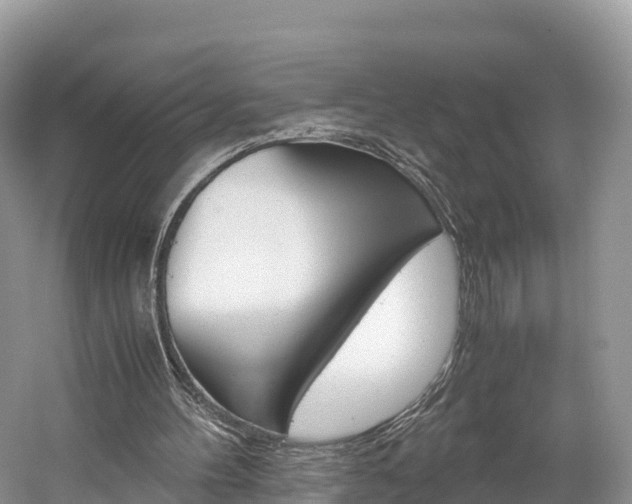 X0000061720100200512021053