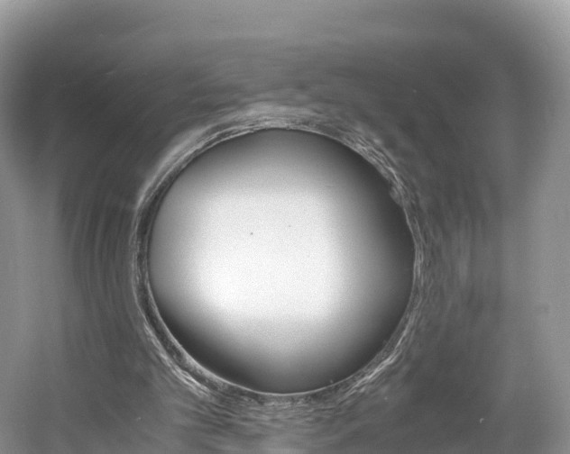 X0000061720101200512021053
