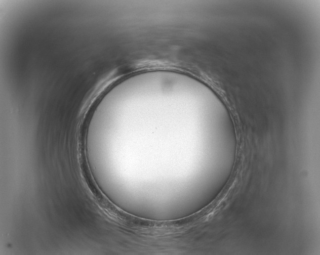 X0000061720103200512021053