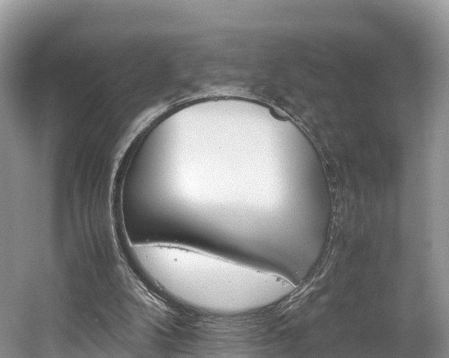X0000061720104200512021053