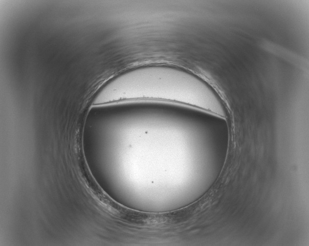 X0000061720105200512021053