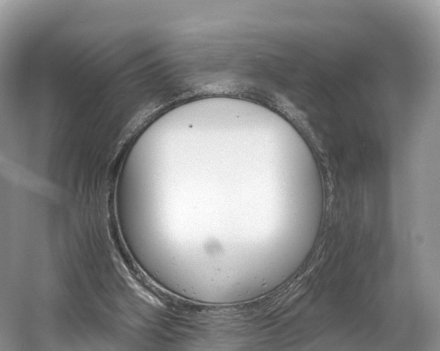 X0000061720106200512021053