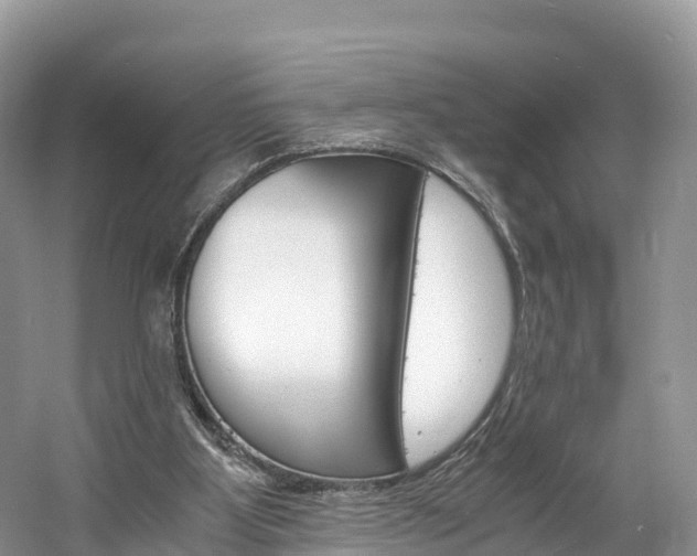 X0000061720107200512021053