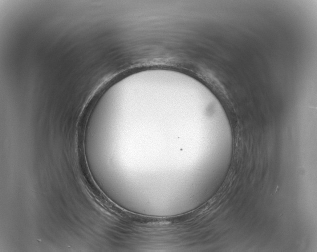 X0000061720108200512021053