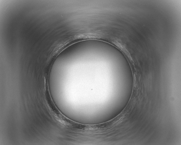 X0000061720109200512021053