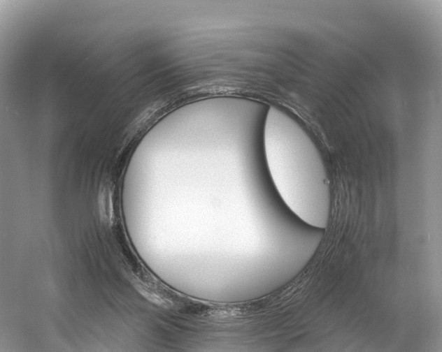 X0000061720110200512021053