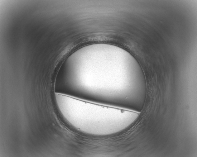 X0000061720111200512021053