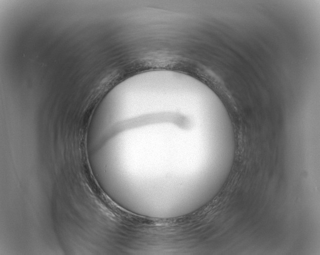 X0000061720114200512021053