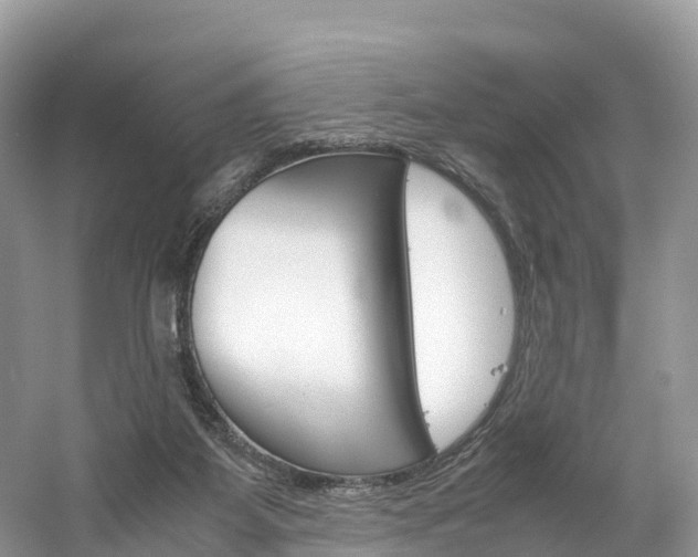 X0000061720115200512021053