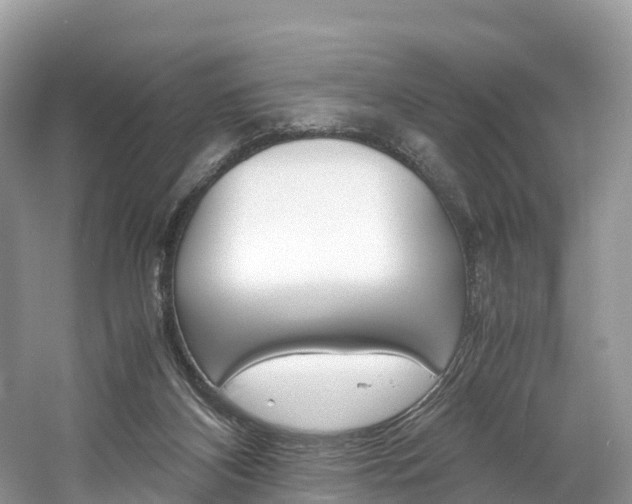 X0000061720116200512021053
