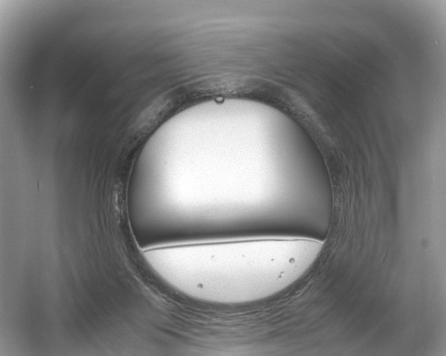 X0000061720119200512021053