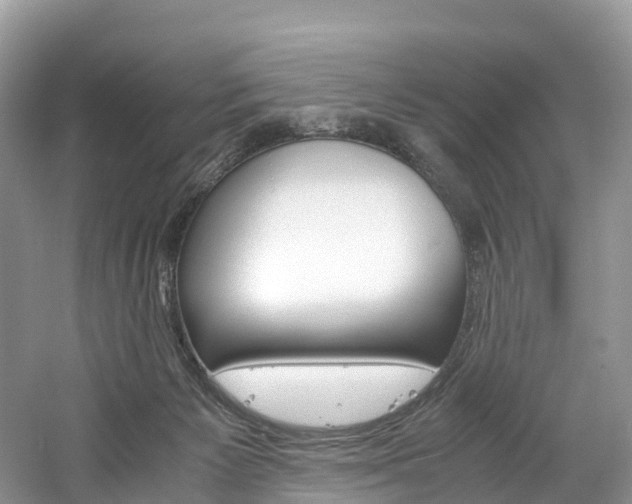 X0000061720125200512021053