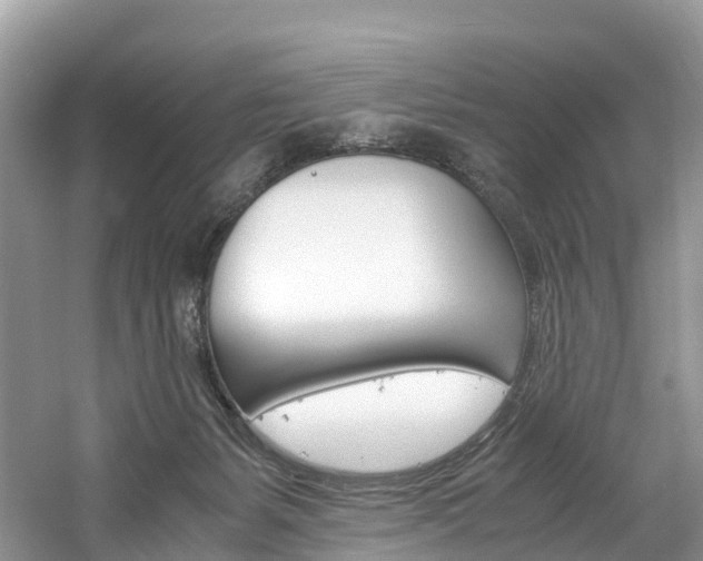 X0000061720127200512021053