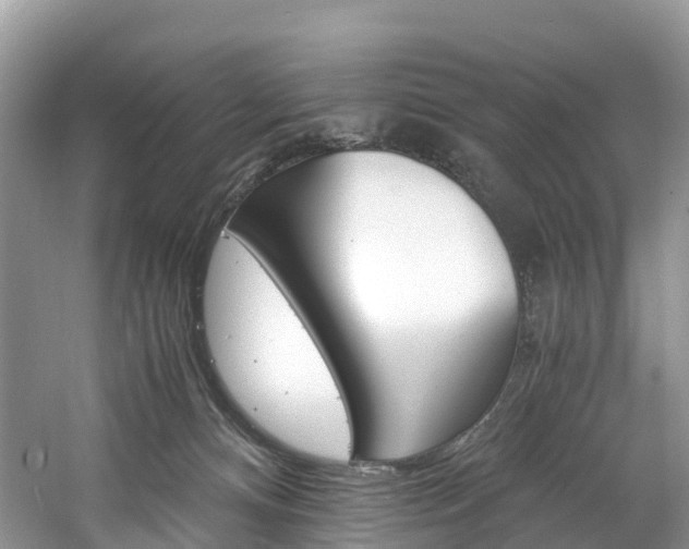 X0000061720128200512021052