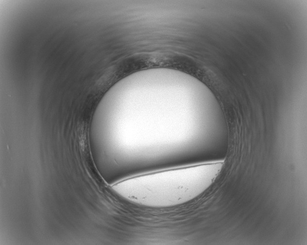 X0000061720129200512021052