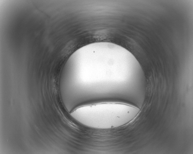 X0000061720136200512021052