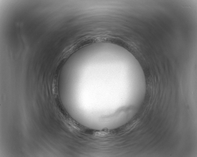 X0000061720139200512021052