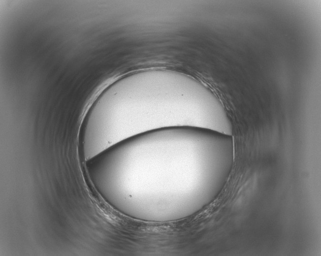X0000061720147200512021051