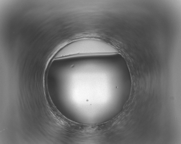 X0000061720148200512021051