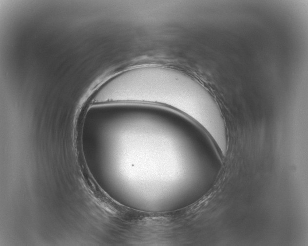 X0000061720150200512021051