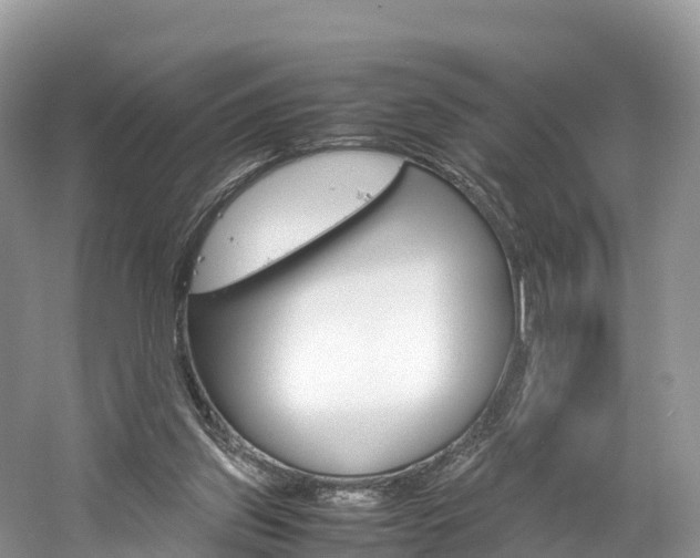 X0000061720157200512021052