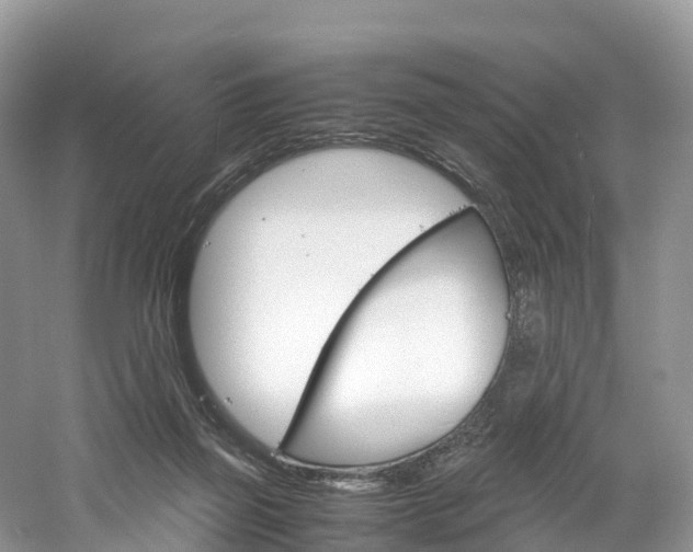 X0000061720165200512021052
