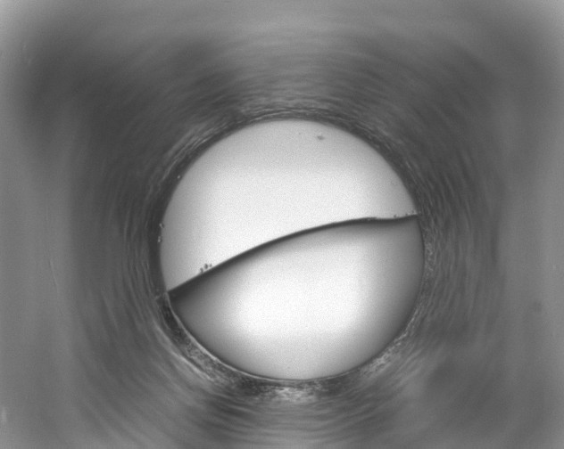 X0000061720166200512021052