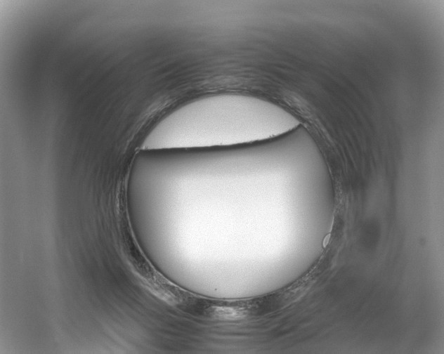 X0000061720167200512021052