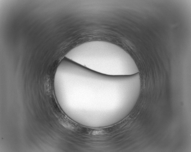 X0000061720173200512021052
