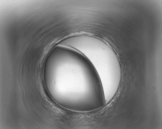 X0000061720193200512021051