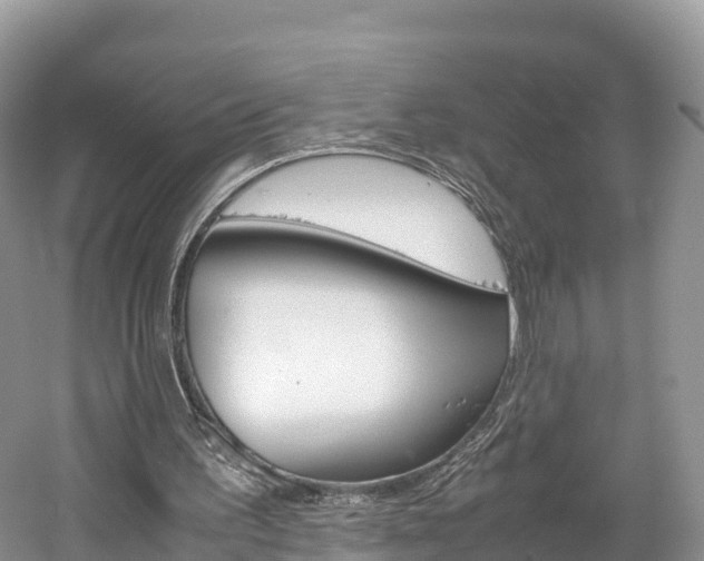 X0000061720195200512021051