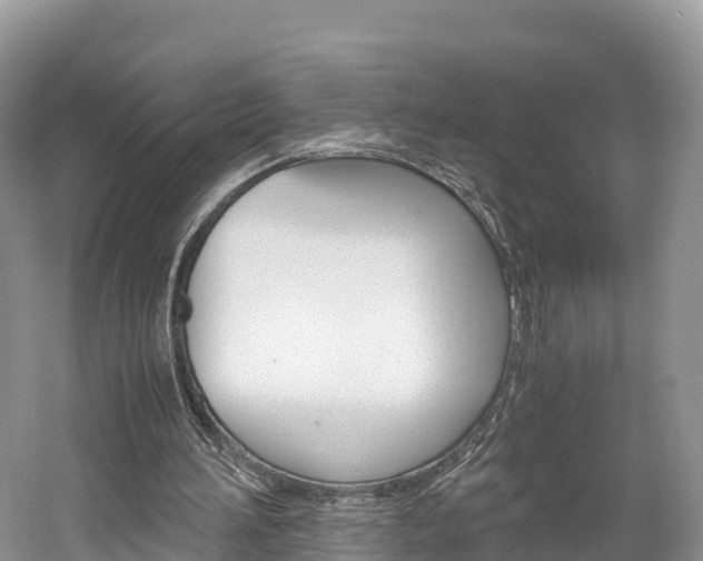 X0000061720196200512021051