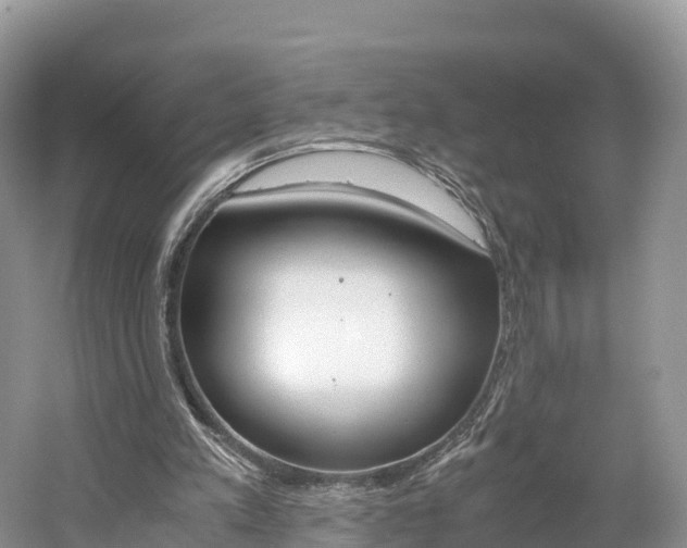 X0000061720197200512021051