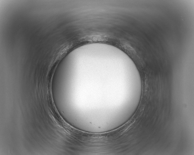 X0000061720202200512021051