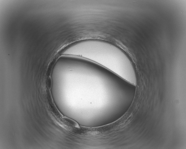 X0000061720203200512021051