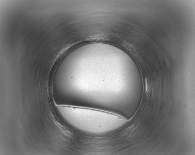 X0000061720204200512021051