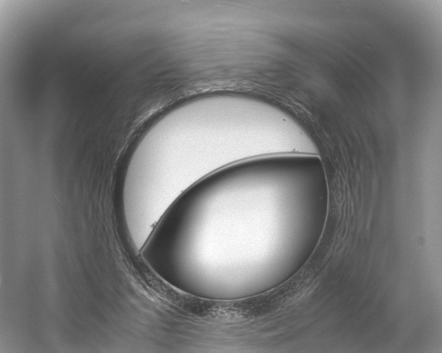 X0000061720207200512021051
