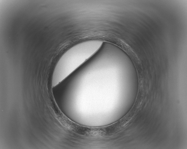 X0000061720209200512021051
