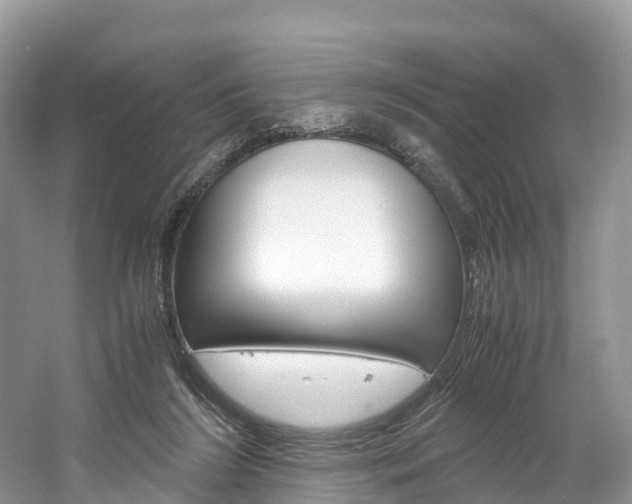 X0000061720212200512021051