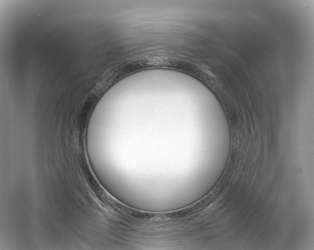 X0000061720213200512021051