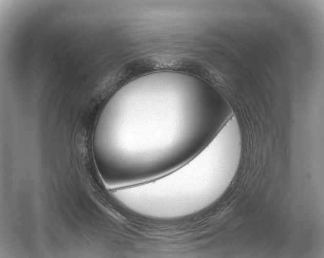 X0000061720215200512021051