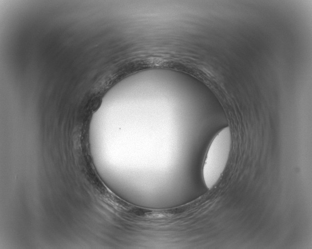 X0000061720221200512021051