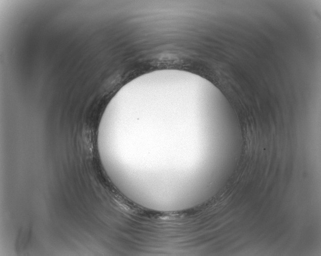 X0000061720232200512021051
