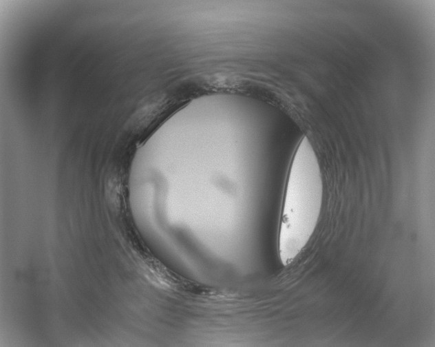 X0000061720235200512021051