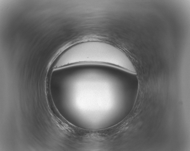 X0000061720244200512021050