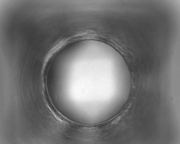 X0000061720245200512021050