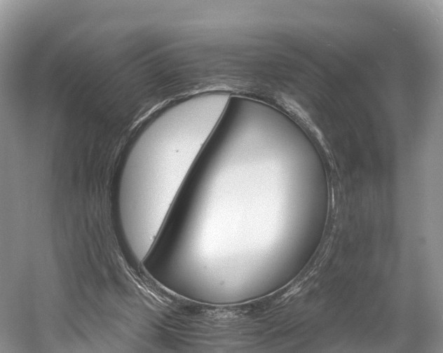 X0000061720249200512021050