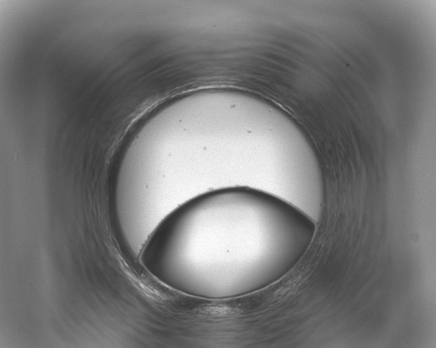 X0000061720253200512021050