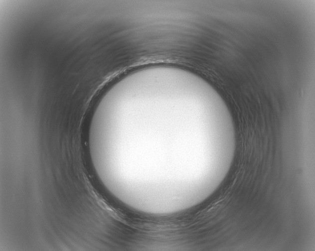 X0000061720256200512021050